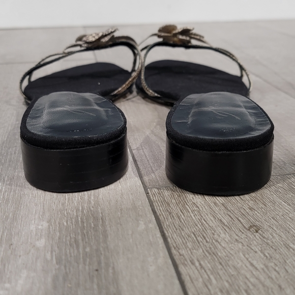 Nwob Antonio Bossi reptile slides 11M - Picture 4 of 6